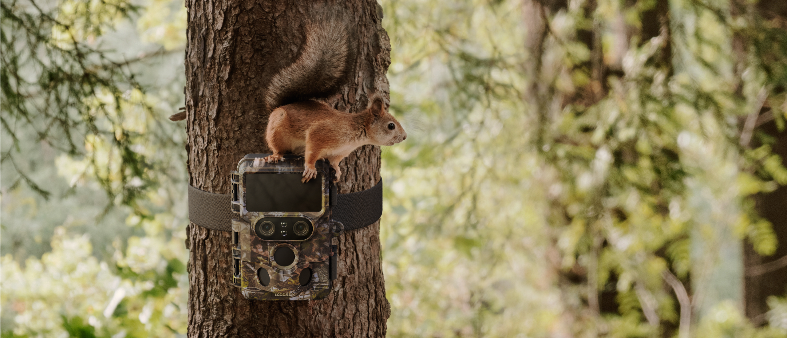 iZEEKER iG600 Caméra de faune avec Dual objectif - 48MP 4K - Starlight  Night Vision 